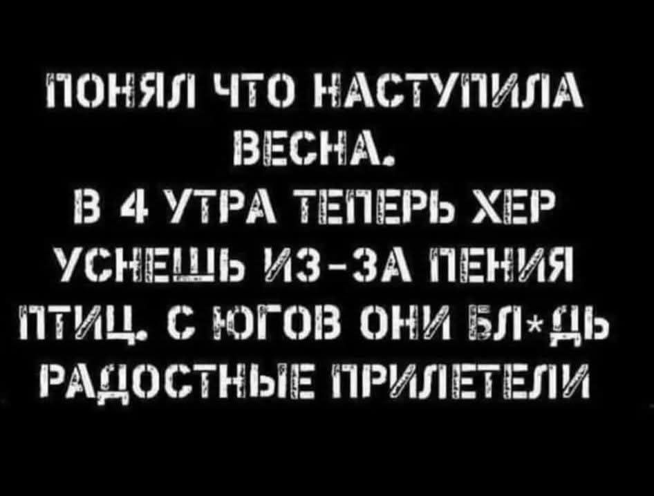 ПОНЯЛ ЧТО НАСТУПИЛА ВЕСНА. В 4 УТРА ТЕПЕРЬ ХЕР УСНЕШЬ ИЗ-ЗА ПЕНИЯ ПТИЦ. С ЮГОВ ОНИ БЛ*ДЬ РАДОСТНЫЕ ПРИЛЕТЕЛИ