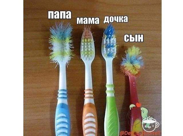 папа мама дочка сын