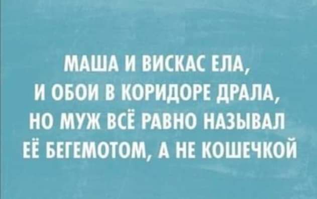 МАША И ВИСКАС ЕЛА, И ОБОИ В КОРИДОРЕ ДРАЛА, НО МУЖ ВСЁ РАВНО НАЗЫВАЛ ЕЁ БЕГЕМОТОМ, А НЕ КОШЕЧКОЙ