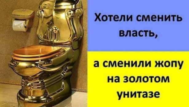Хотели сменить власть, а сменили жопу на золотом унитазе