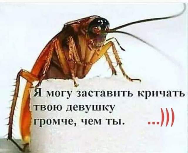 Я могу заставить кричать твою девушку громче, чем ты. ...)))
