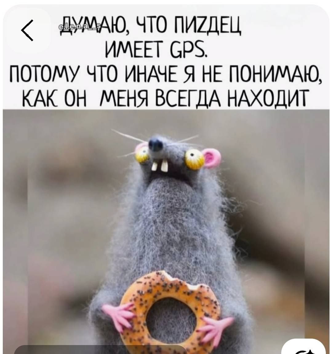 ДУМАЮ, ЧТО ПИЗДЕЦ ИМЕЕТ GPS. ПОТОМУ ЧТО ИНАЧЕ Я НЕ ПОНИМАЮ, КАК ОН МЕНЯ ВСЕГДА НАХОДИТ