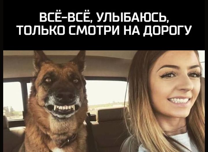 ВСЁ ВСЁ улывдюсь только смотри НА дорогу