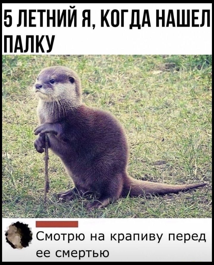 5 ЛЕТНИЙ Я КОГДА НАШЕЛ Смотрю на крапиву перед ее смертью
