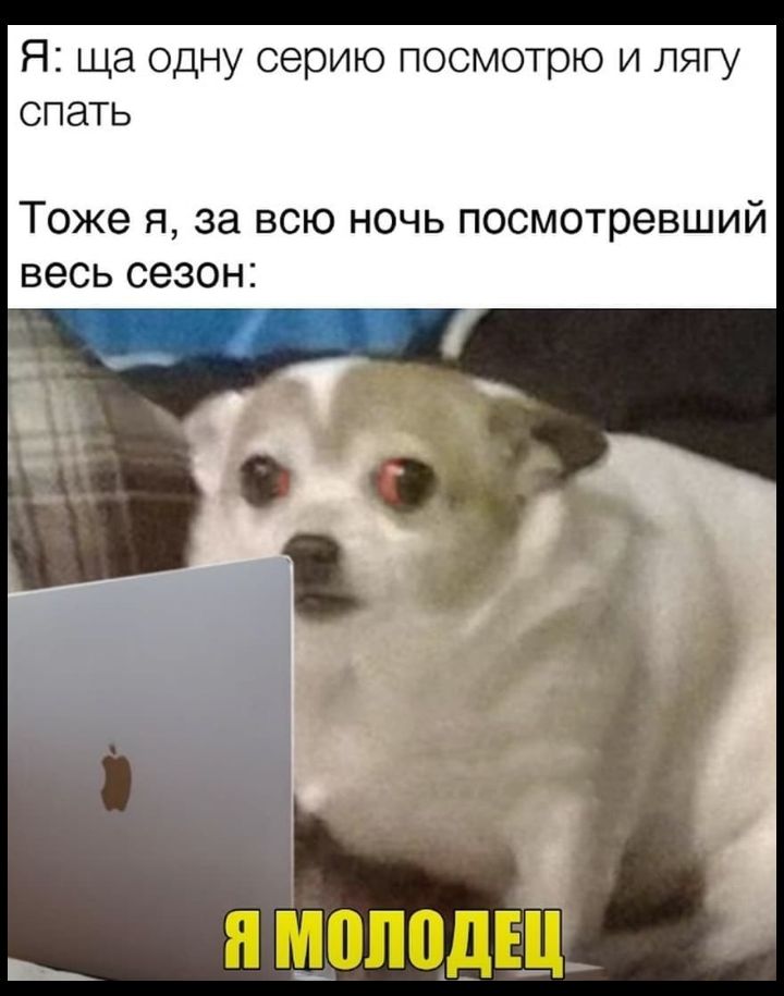 Я ща одну серию посмотрю и пягу спать Тоже я за всю ночь посмотревший весь сезон