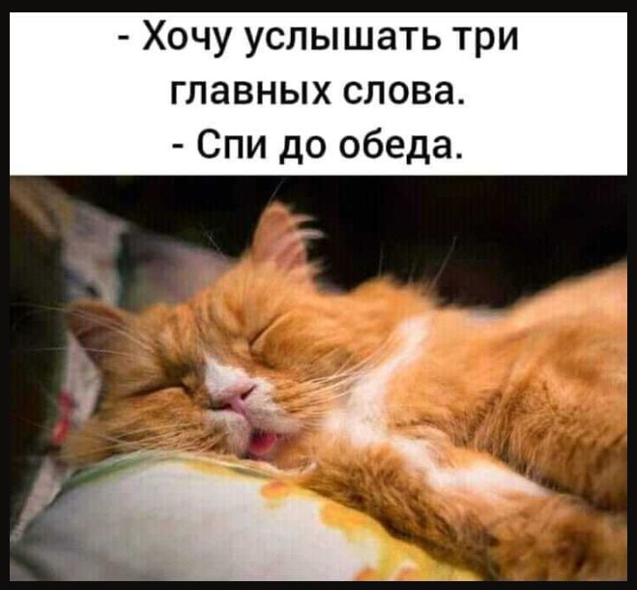 Хочу услышать три главных слова Спи до обеда