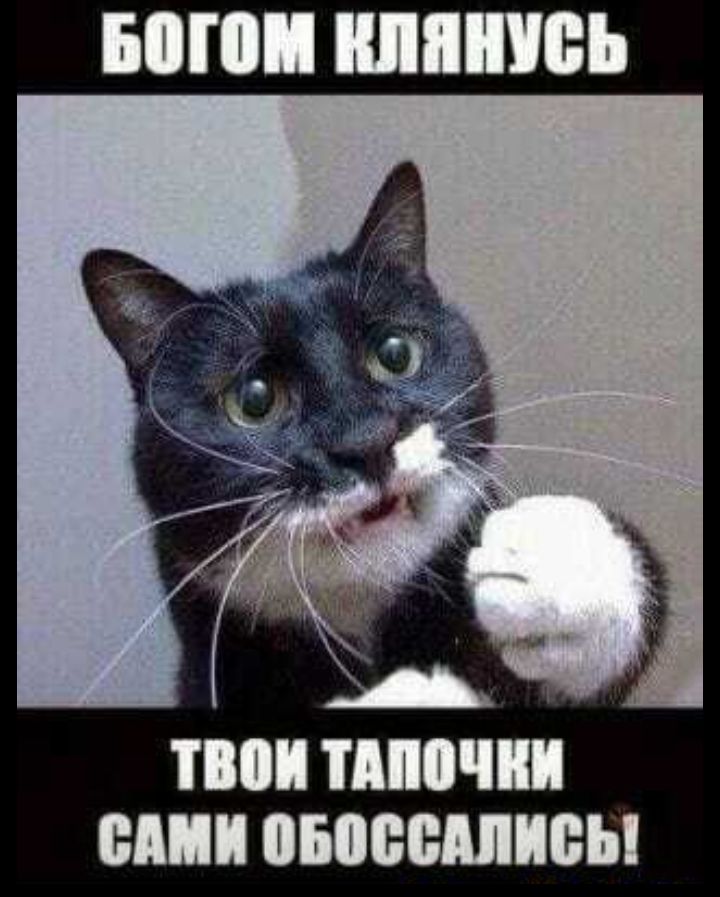 ШП ШПШВЪ А в тмюши БП оыювмшвы