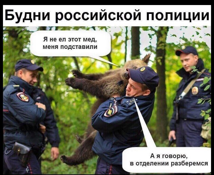 БУДНИ РОССИЙСКОЙ ПОПИЦИИ дтп тн Я не ел этот мед меня подставили _ 2 А я говорю в отделении разберемся