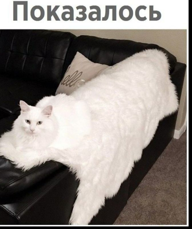 Показалось
