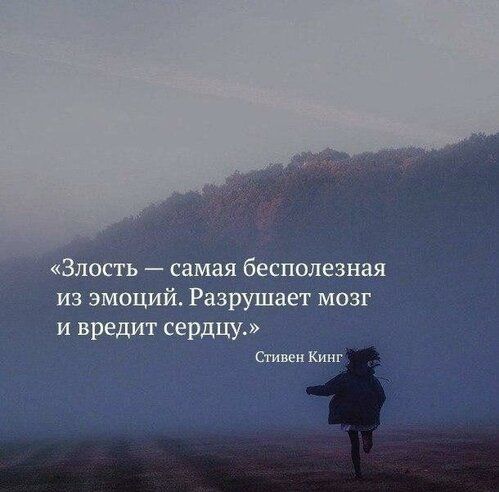 здесть самая бесполезная из эмоций Разрушает мозг и вредит сердцу Стивен Кинг