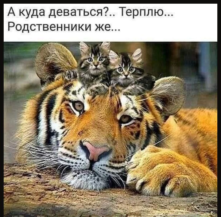 ю л П Т 7 Я С Ь Т а в 9 Д 8 д у К А 8 ж И К И Н Н Р В Т С д 0 Р