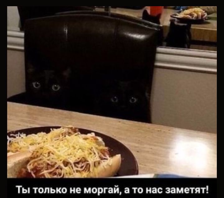 Ты только не моргай то нас заметят