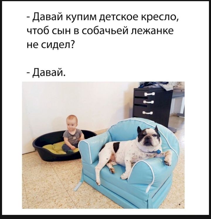 Давай купим детское кресло чтоб сын в собачьей лежанке не сидел Давай