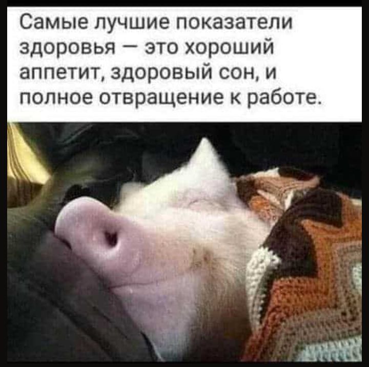 Самые лучшие показатели здоровья это хороший аппетит здоровый сон и полное отвращение к работе
