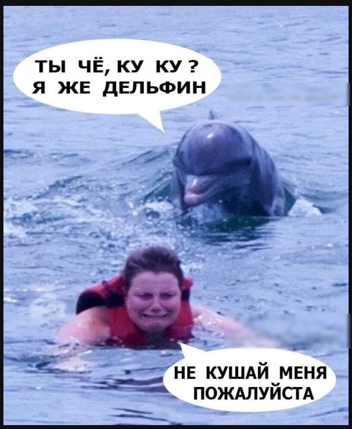 ты ЧЁ ку КУ я ЖЕ дельфин _ _ Дне кушдй мвня Ёё пожмуйстд