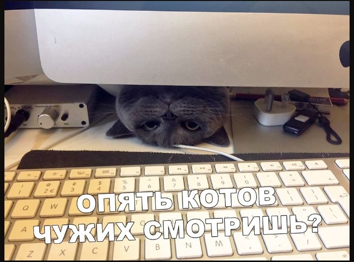 Цёёёё и щ