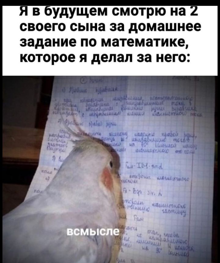Я в будущем смотрю на 2 своего сына за домашнее задание по математике которое я делал за него