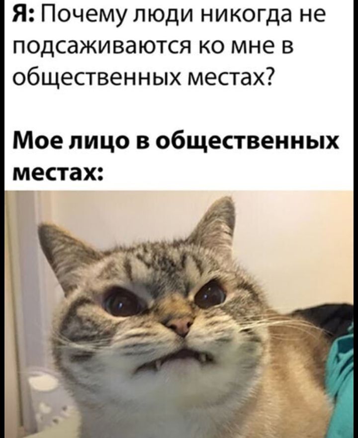 Я Почему люди никогда не подсаживаются ко мне в общественных местах Мое лицо в общественных местах