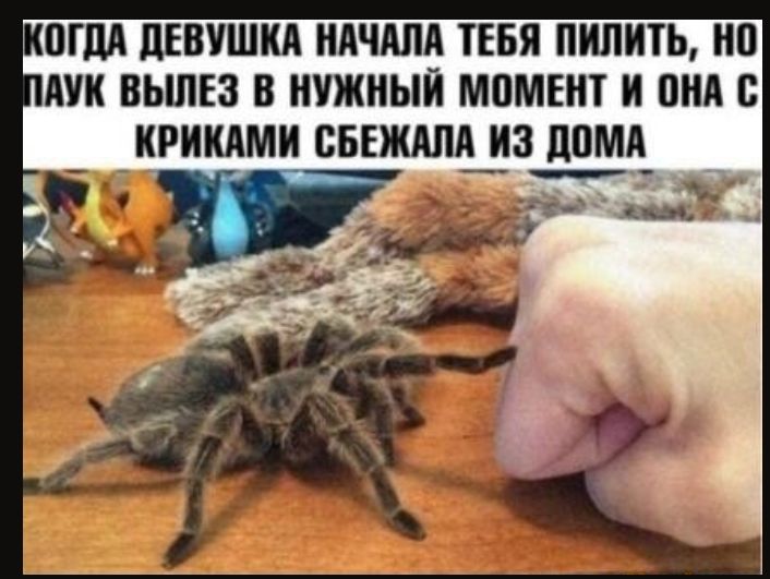 ИПГДА ЦЕВУШИА НАЧАЛА ТЕБЯ ПИЛИТЬ НП АУИ ВЬШЕЗ В ИУЖНЫИ МПМЕИТ И ВНА с ИРИИАМИ СВЕЖАПА ИЗ ЛИМА