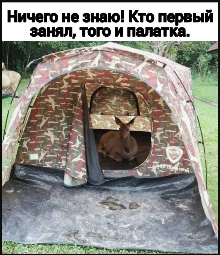 Ничего не знаю Кто первый занял того и палатка
