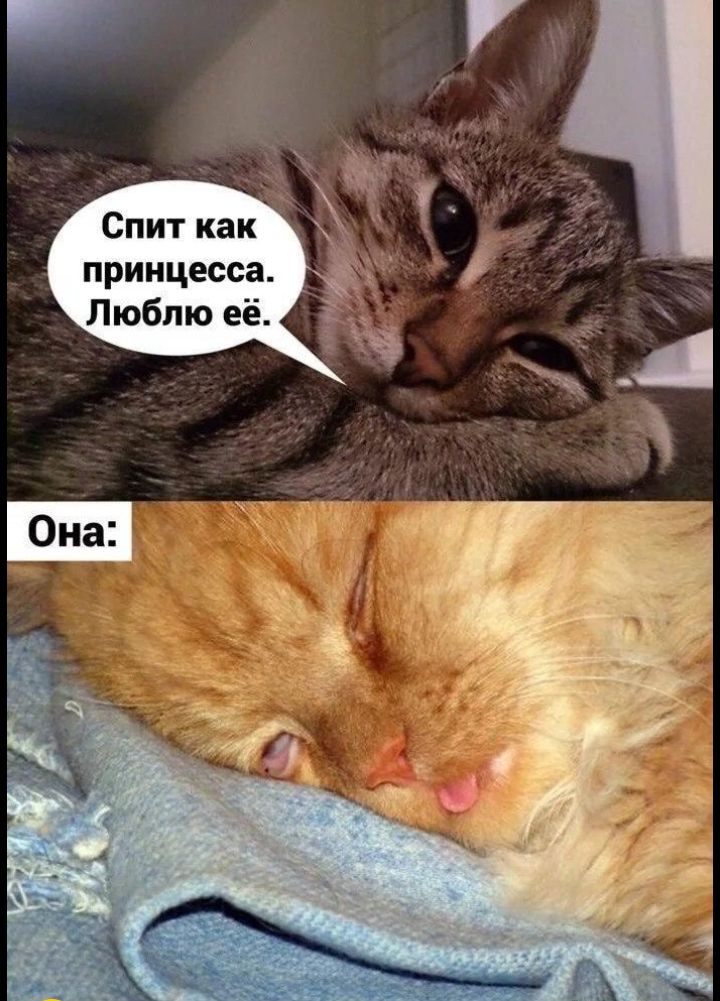 Спит как принцесса Люблю её