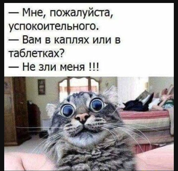 Мне пожалуйста успокоительного Вам в каплях или в таблетках Не зли меня