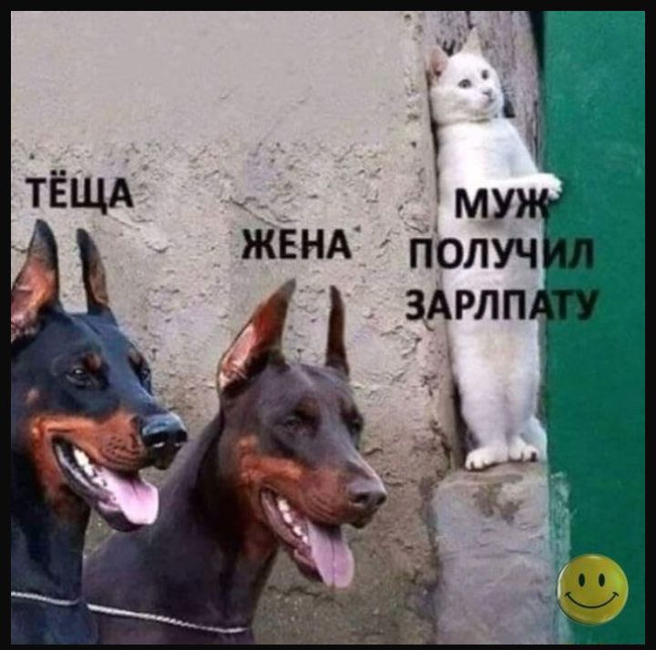 ГЁЩА му _ жвнд получ