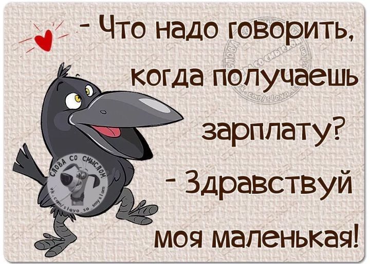 Что надо говорить когда получаешь зарплату Здравствуй моя маленькая
