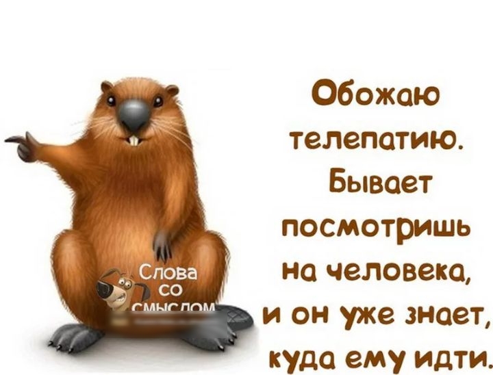 Обожаю телепатию Бывает посмотришь на человека О 050 и он уже знает куда ему идти