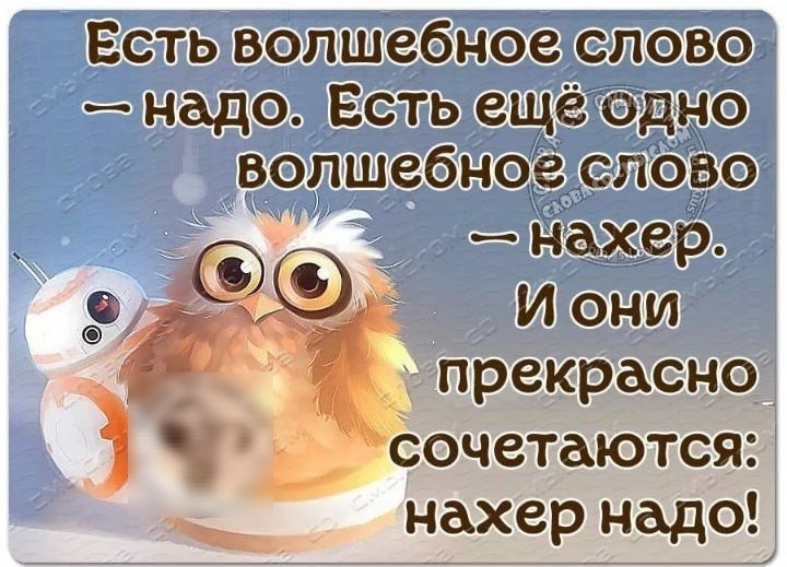 Есть волшебное слово __ надо Есть ещё одно волшебное олово нахер 3 _ Иони прекрасно ч сочетаются нахер надо
