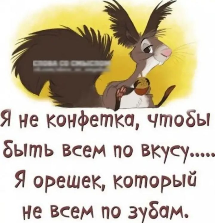 Я не конфета чтобы быть всем по вкусу Я орешек который Не всем по зубам