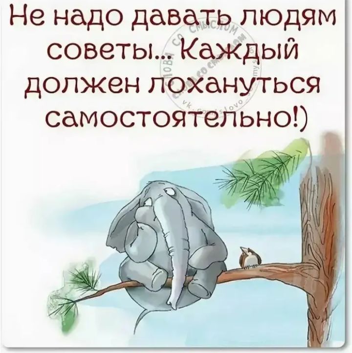 Не надо давать людям советы Каждый должен лохануться самостоятельно