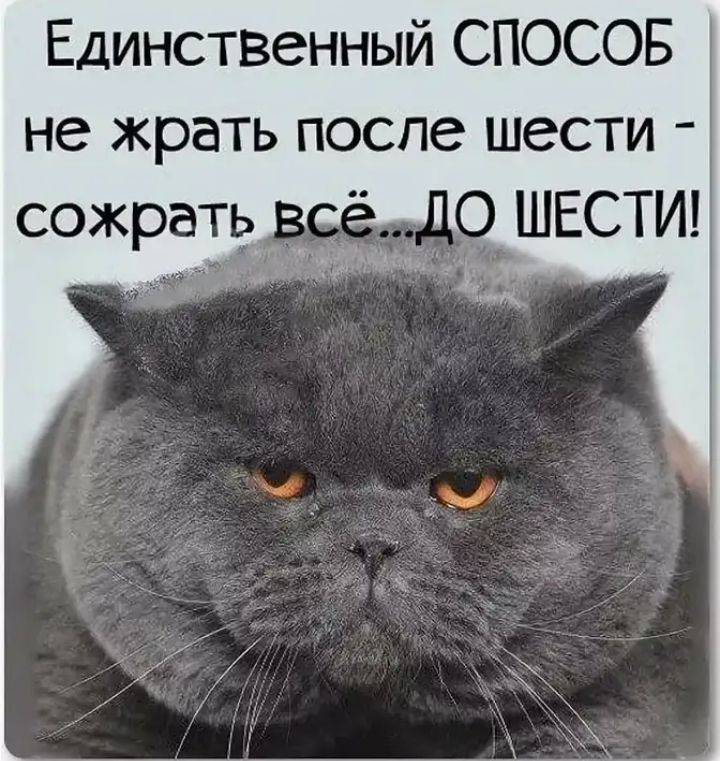 Единственный СПОСОБ не жрать после шести
