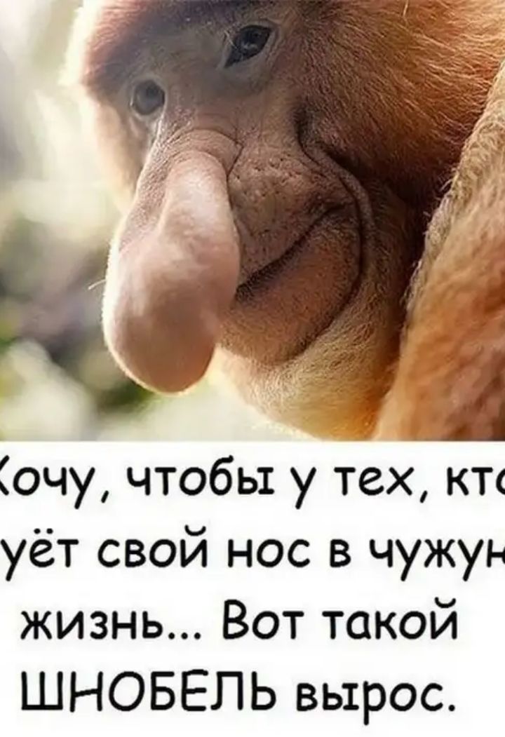 Сочу чтобы у тех кт уёт свой нос в чужун жизнь Вот такой ШНОБЕЛЬ вырос