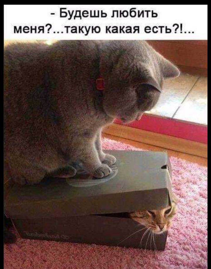 Будешь любить менятакую какая есть