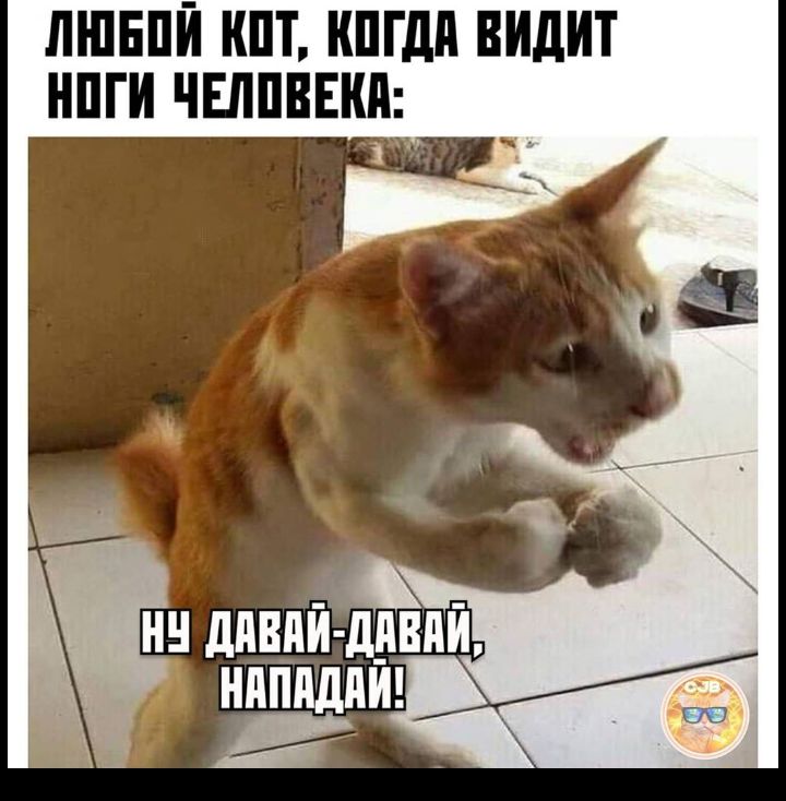 ЛШЕПЙ ШТ ШГдд ВИдИТ НПГИ ЧЕЛПВЕКП и линий