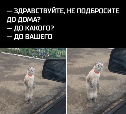 ЗДРАВСТВУЙТБ НЕ ПОДБРПСИТЕ ДП ДПМА ДП КАКОГО ДП ВАШЕГО