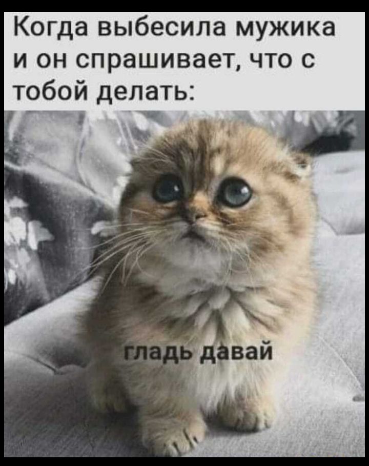 Когда выбесила мужика и он спрашивает что с тобой делать __