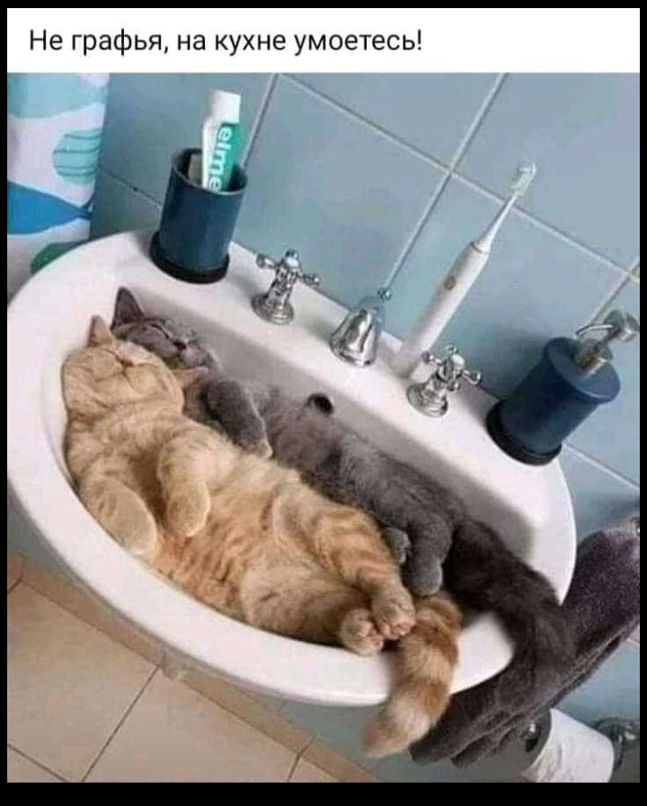 Не графья на кухне умоетесь т