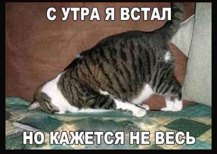 С УТРА Я ВСТАЛ