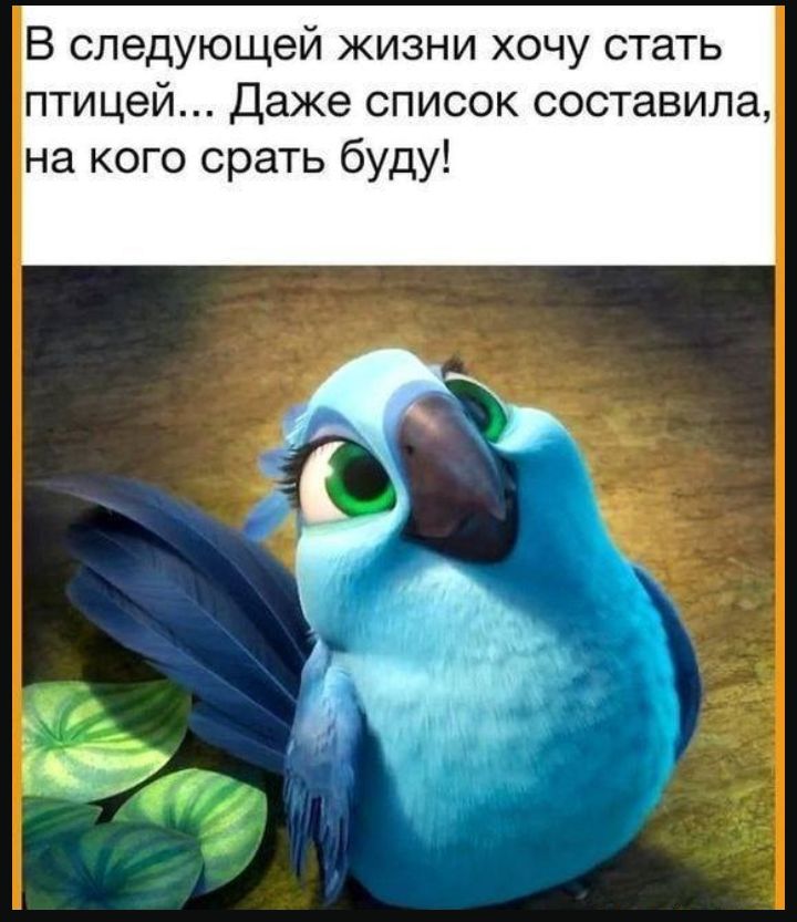 В следующей жизни хочу стать птицей Даже список составила на кого срать буду