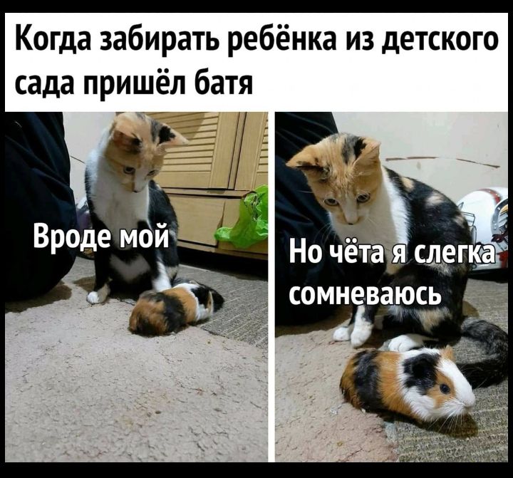 Когда забирать ребёнка из детского сада пришёл батя Вроде мой
