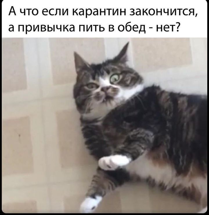 А что если карантин закончится а привычка пить в обед нет