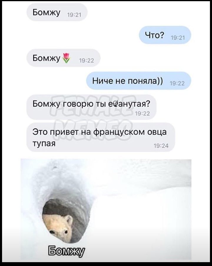 Бомжу Ниче не поняла Бомжу говорю ты еанутая Это привет на француском овца тупая