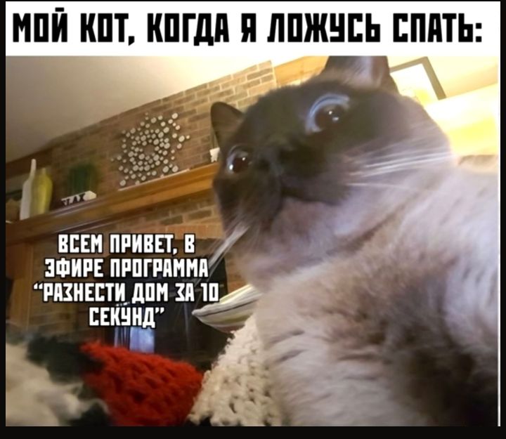 МПЙ ШТ КПГДП П ЛПЖНЕЬ ЕПдТЬ ВСЕМ приш в атив лишними шнввти дпн зп ш шіннд Ё