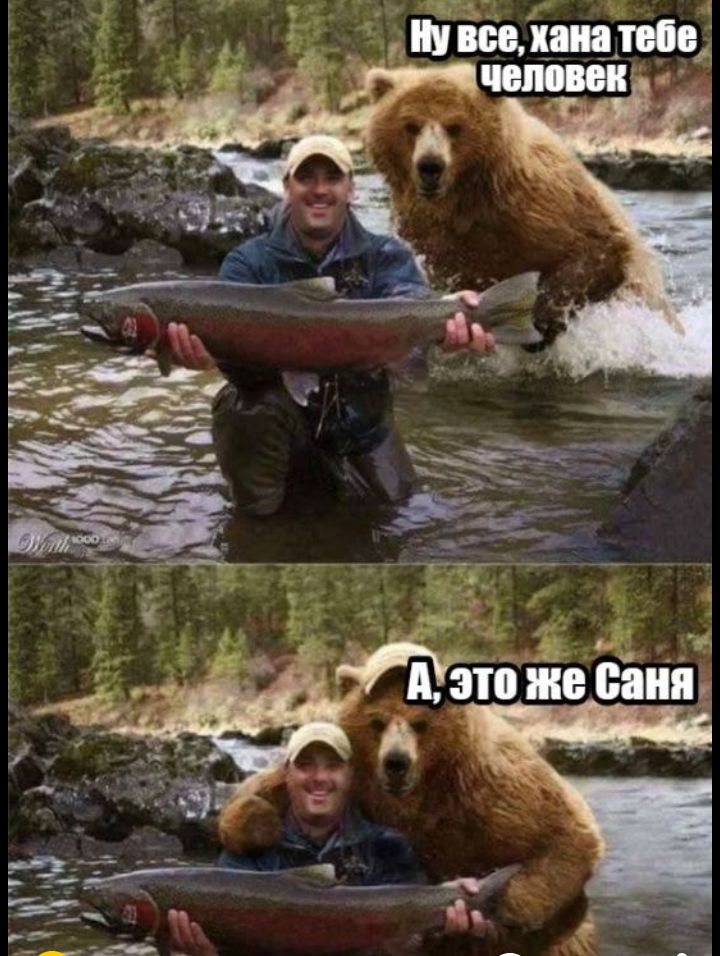 Швіщ