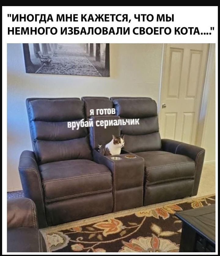 ИНОГДА МНЕ КАЖЕТСЯ ЧТО МЫ НЕМНОГО ИЗБАЛОВАЛИ СВОЕГО КОТА _ц