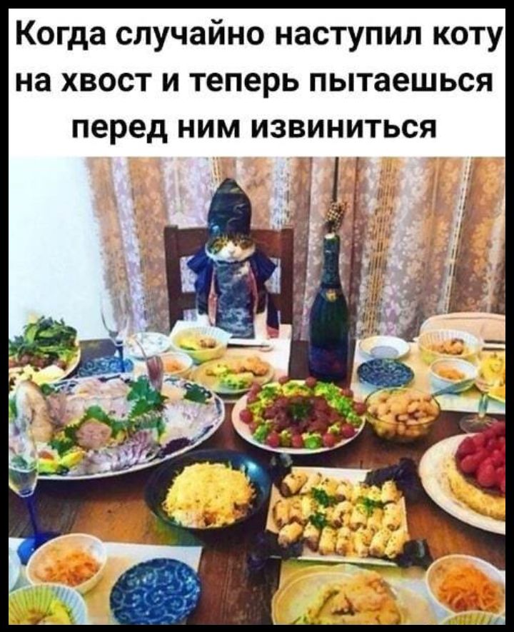 Когда случайно наступил коту на хвост и теперь пытаешься перед ним извиниться