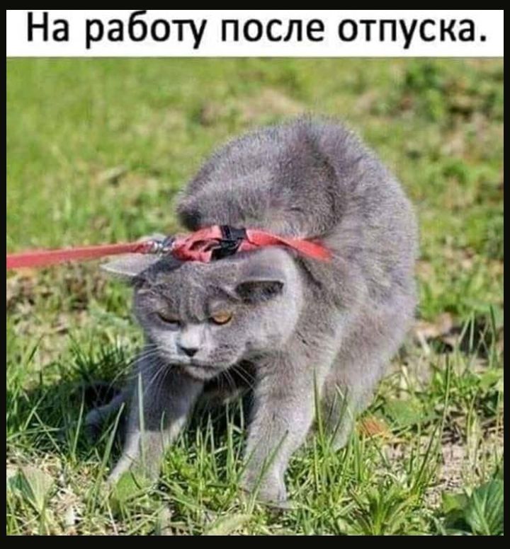 оту после отпуска 4 дг
