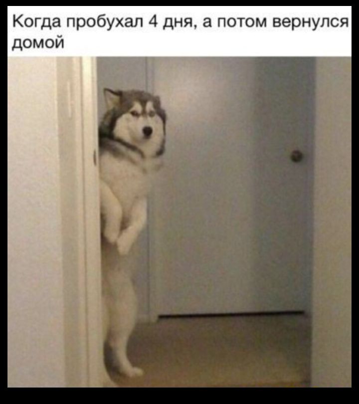 Когда пробухал 4 дня а потом вернулся домой